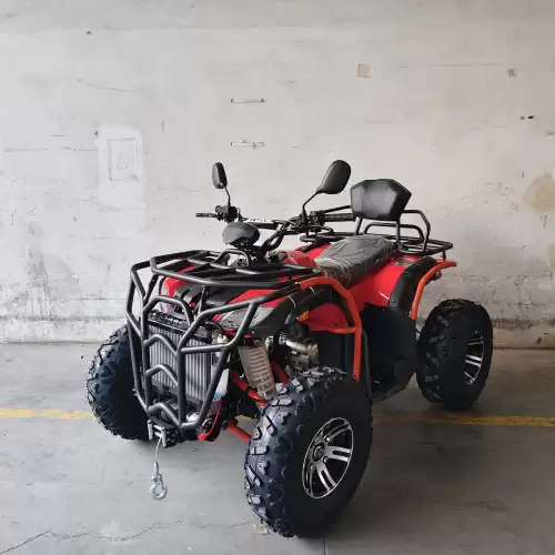 Квадроцикл Storm MAX 300 X Квадроцикл Storm MAX 300 X