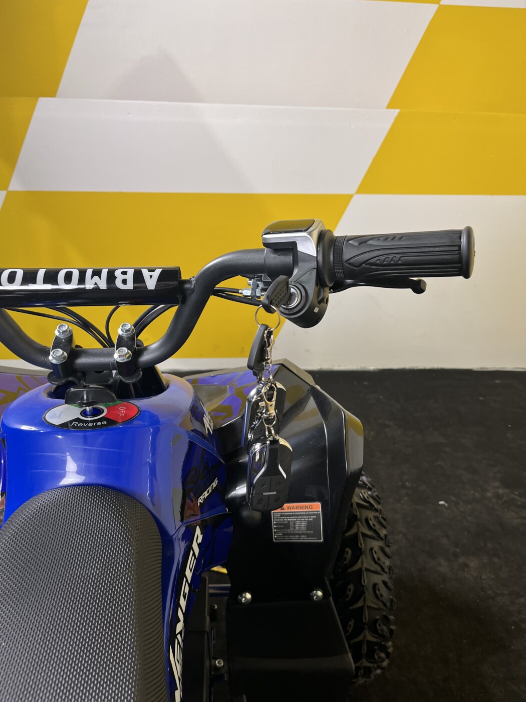 Квадроцикл AMOTO Avenger 1200 W