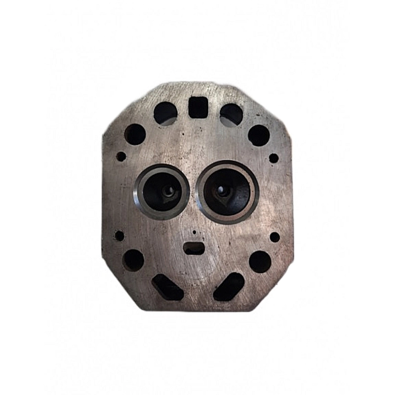 Головка блока цилиндра (голая) 195N (форкамера) 13 отверстий