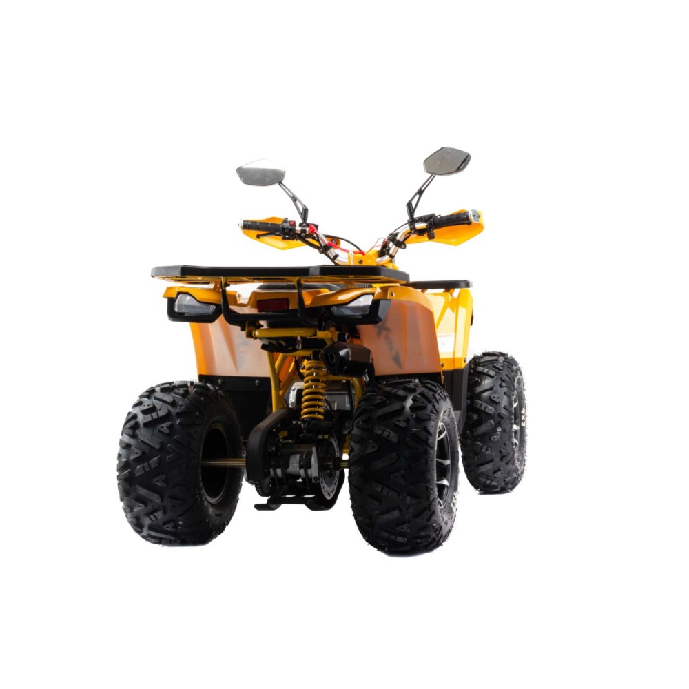 Квадроцикл AMOTO Wild X Pro 125