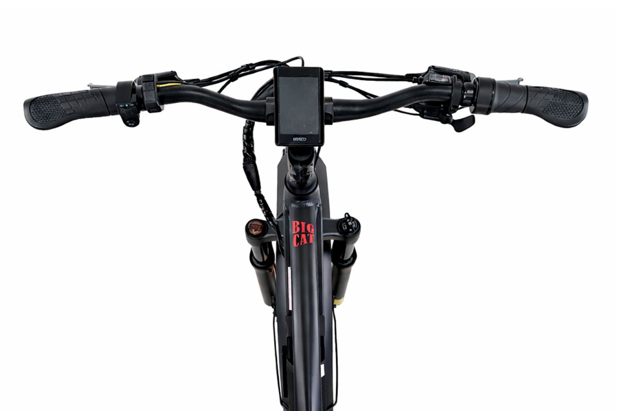 Электровелосипед Eltreco BigCat Next