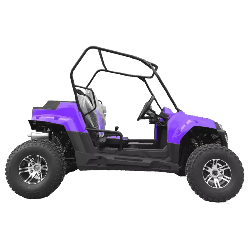 Багги HOOLEOX 150