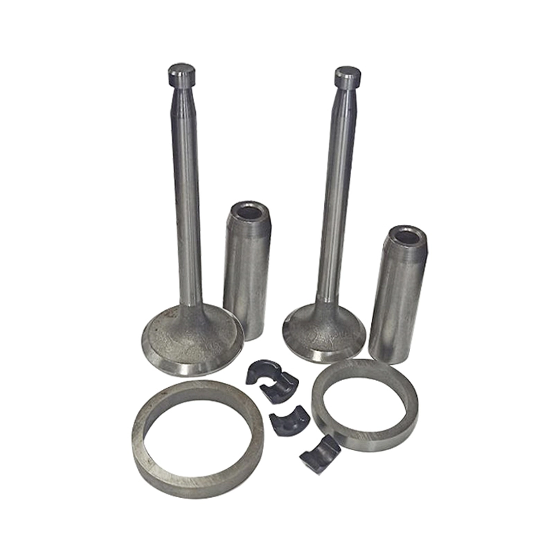 Клапан 1100 комплект (2 клапана,2 направляющие,2 сухаря)