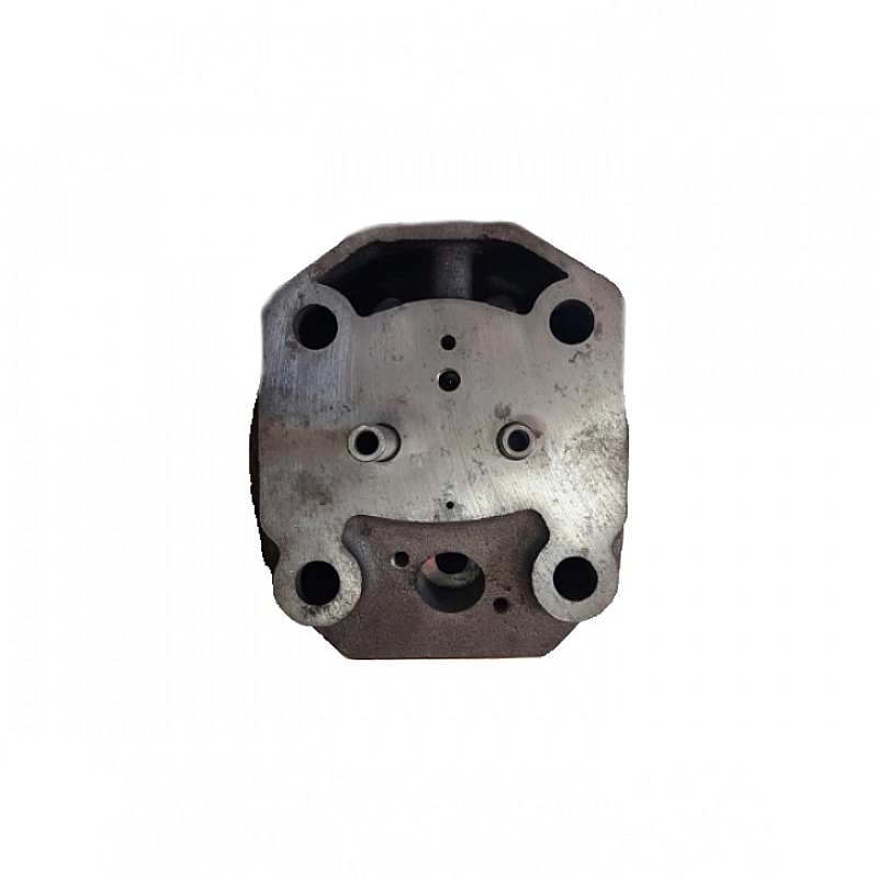 Головка блока цилиндра (голая) 195N (форкамера) 13 отверстий