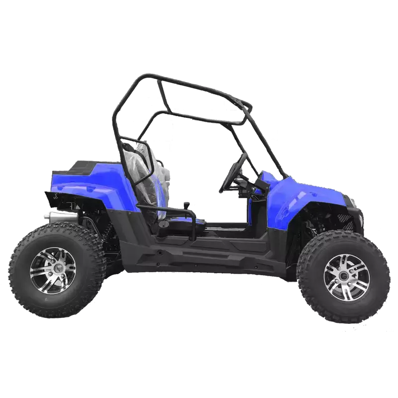 Багги HOOLEOX 150 Синий