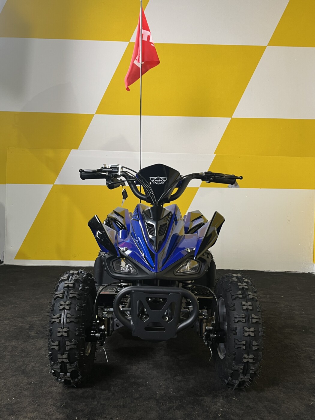 Квадроцикл AMOTO Hecht 1000W