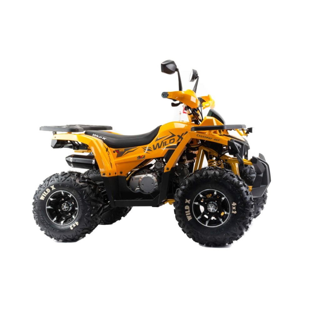 Квадроцикл AMOTO Wild X Pro 125