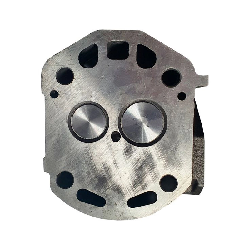 Головка блока цилиндра в сборе R195/195N (прямой впрыск) 11 отверстий