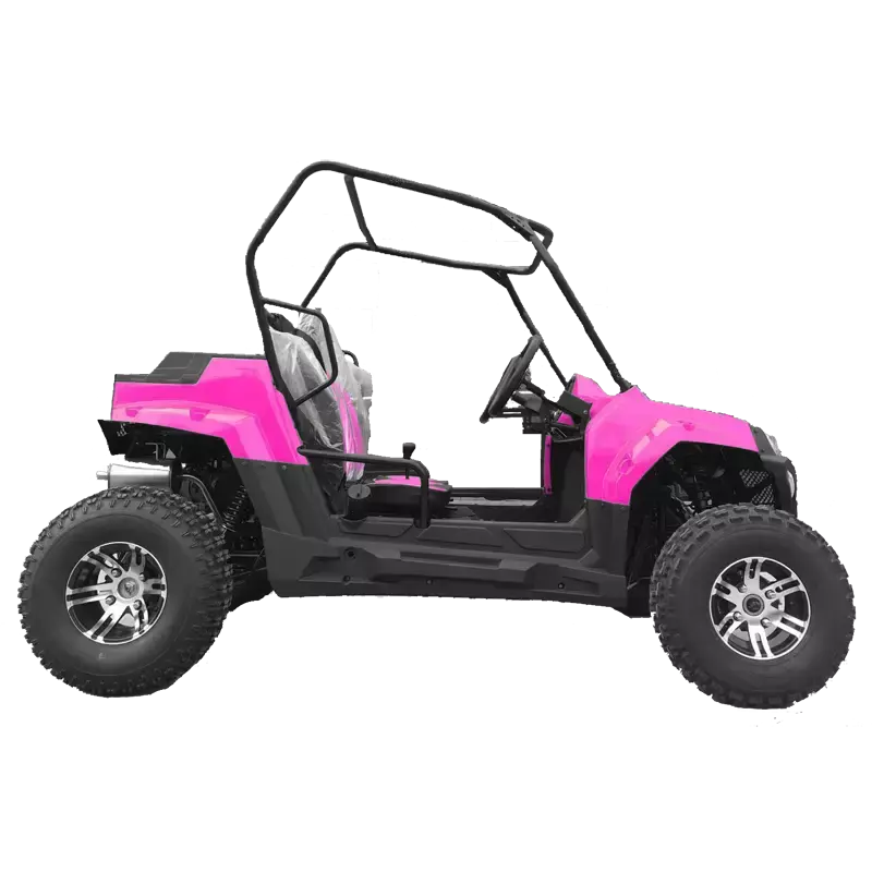 Багги HOOLEOX 150