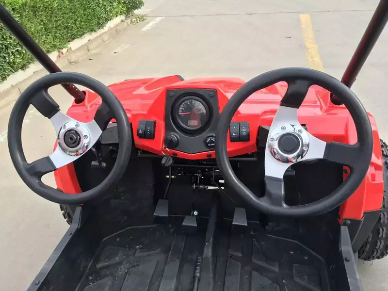 Багги HOOLEOX 150