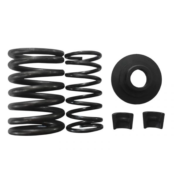 Комплект пружин (2шт) клапана для 242