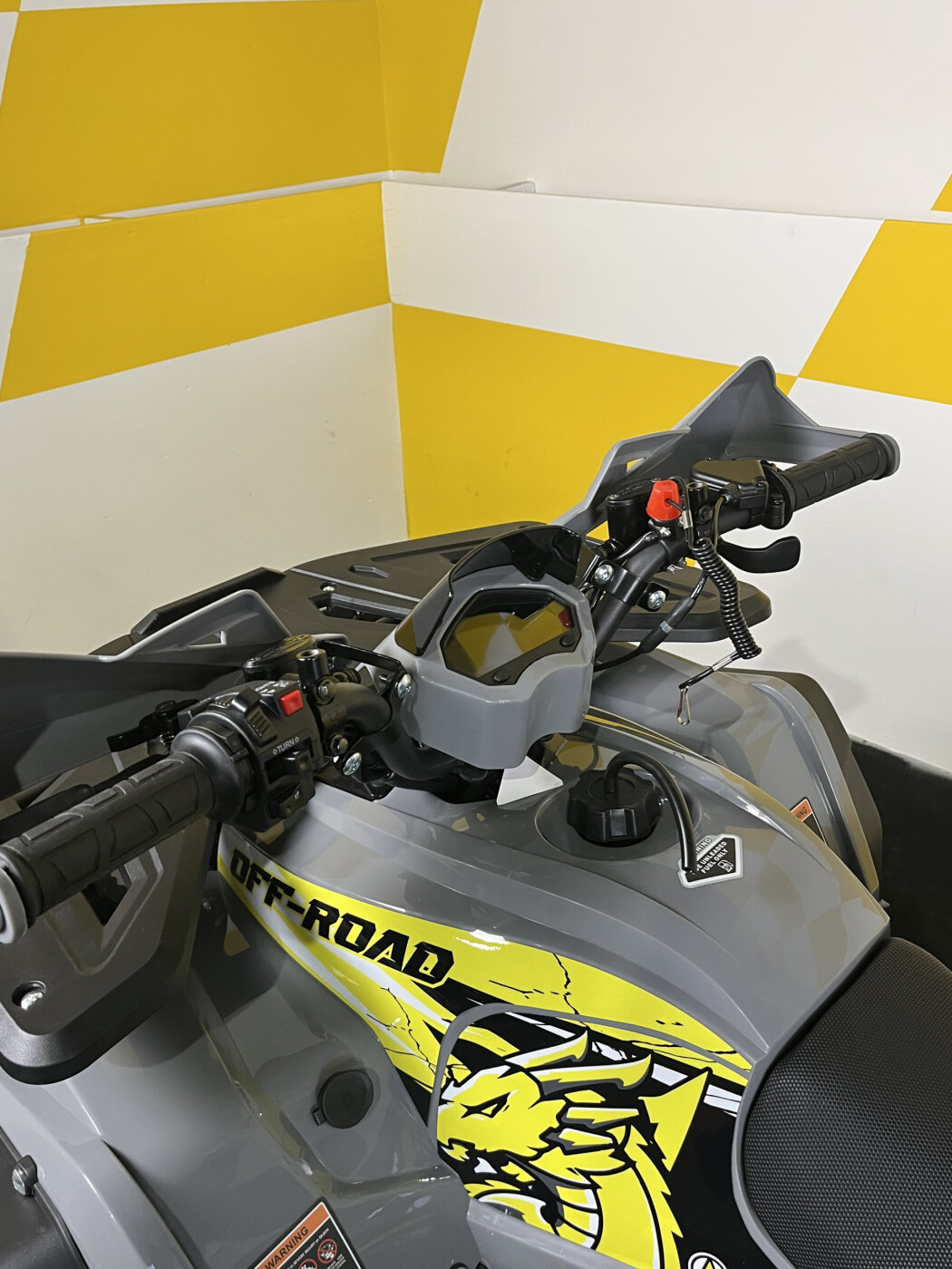 Квадроцикл AMOTO Dragon 125