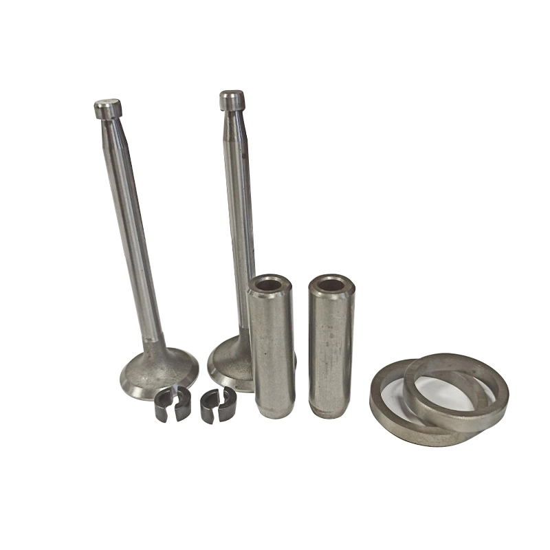 Комплект клапанного механизма 1100 (2 тарелки,Сухари 2,Направляющие 2)