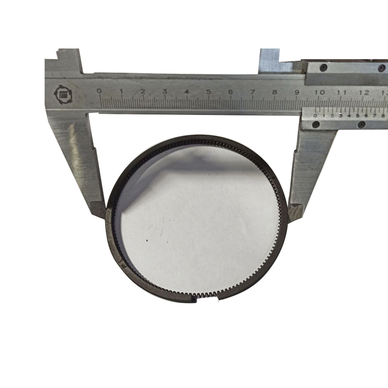 Кольца поршневые для двигателя S1100