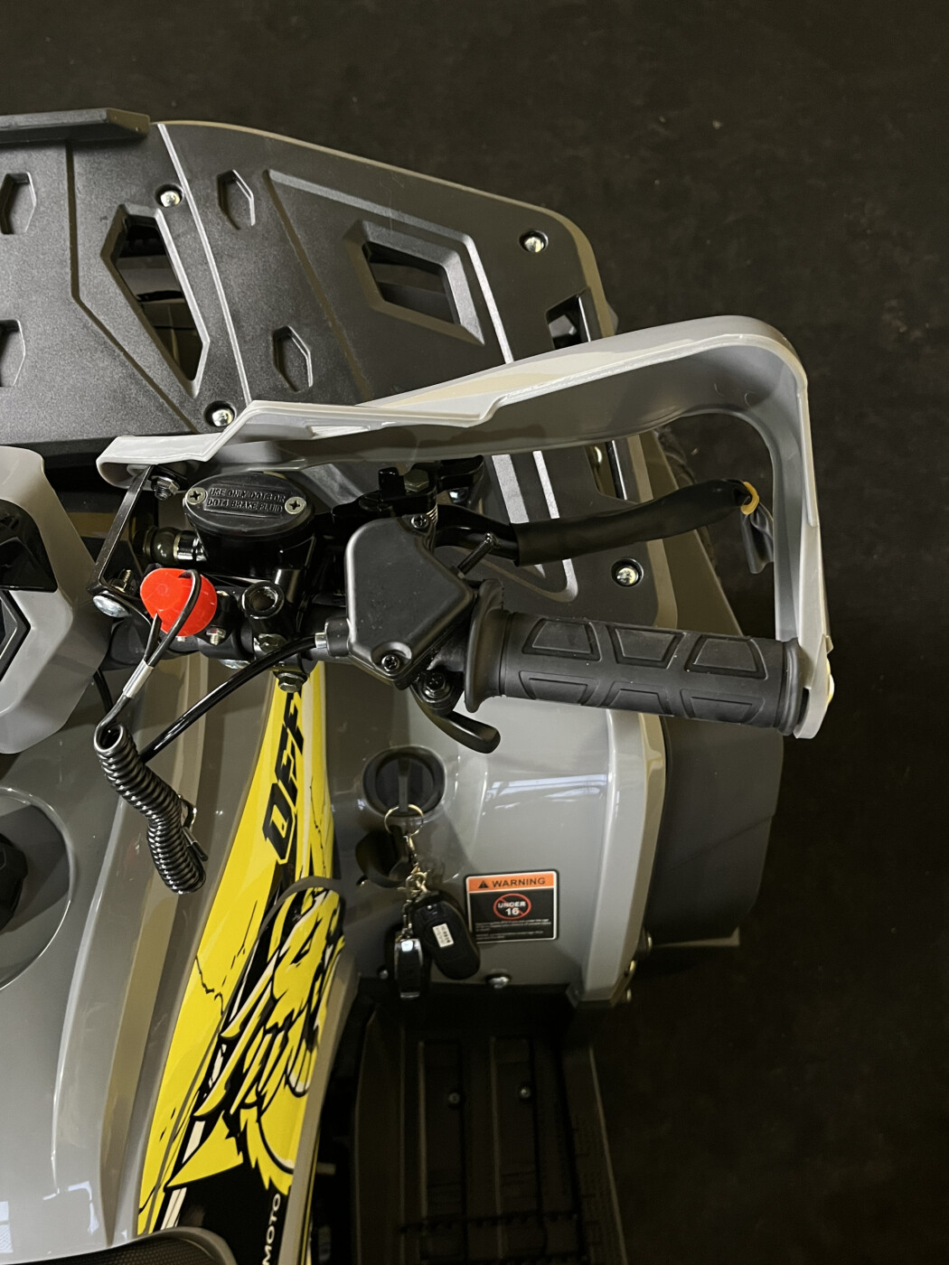 Квадроцикл AMOTO Dragon 125