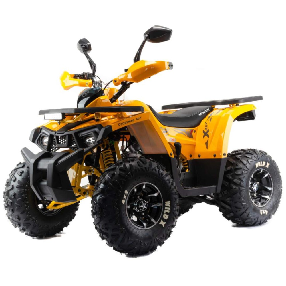 Квадроцикл AMOTO Wild X Pro 125