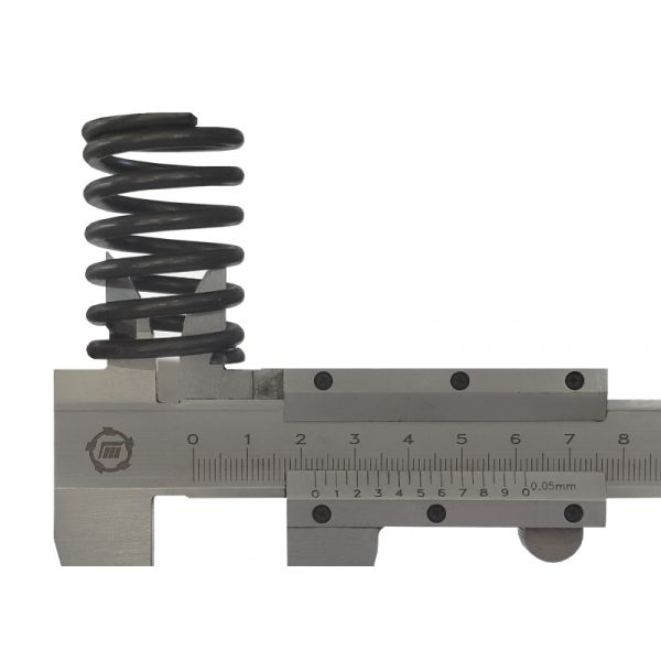 Комплект пружин (2шт) клапана для 242