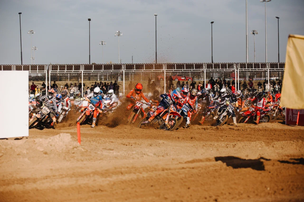 shos-06.png shos-06.png