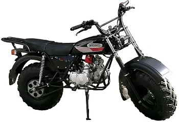 Мотоцикл СКАУТ-3-125 АП с боковым прицепом и корытом (КОМПЛЕКТ)