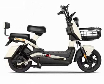 Электровелосипед SHTENLI Model GT21 60V20Ah